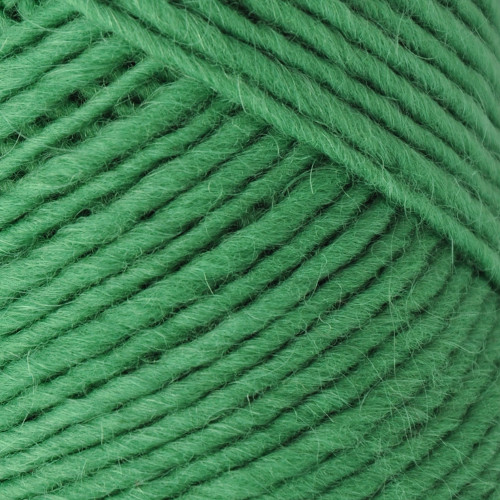 Woodland Green Brown Sheep Company Yarn