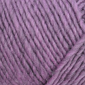 Wild Violet 173 Lamb's Pride at Countrywool
